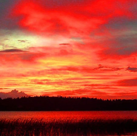 دانلود آهنگ مسکن رضا ارجمند